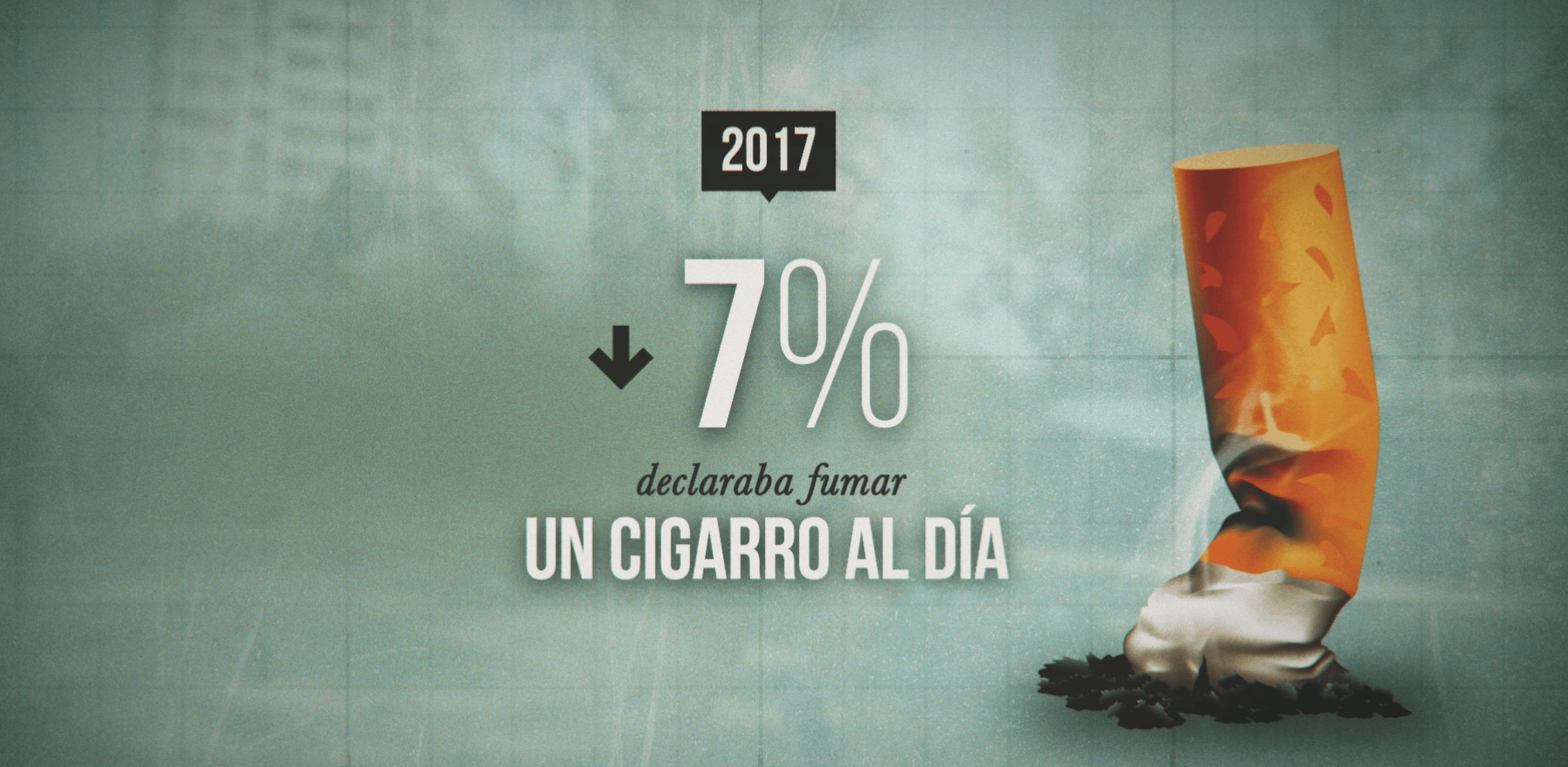 El Pulmón de los Chilenos